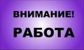 Помощник руководителя